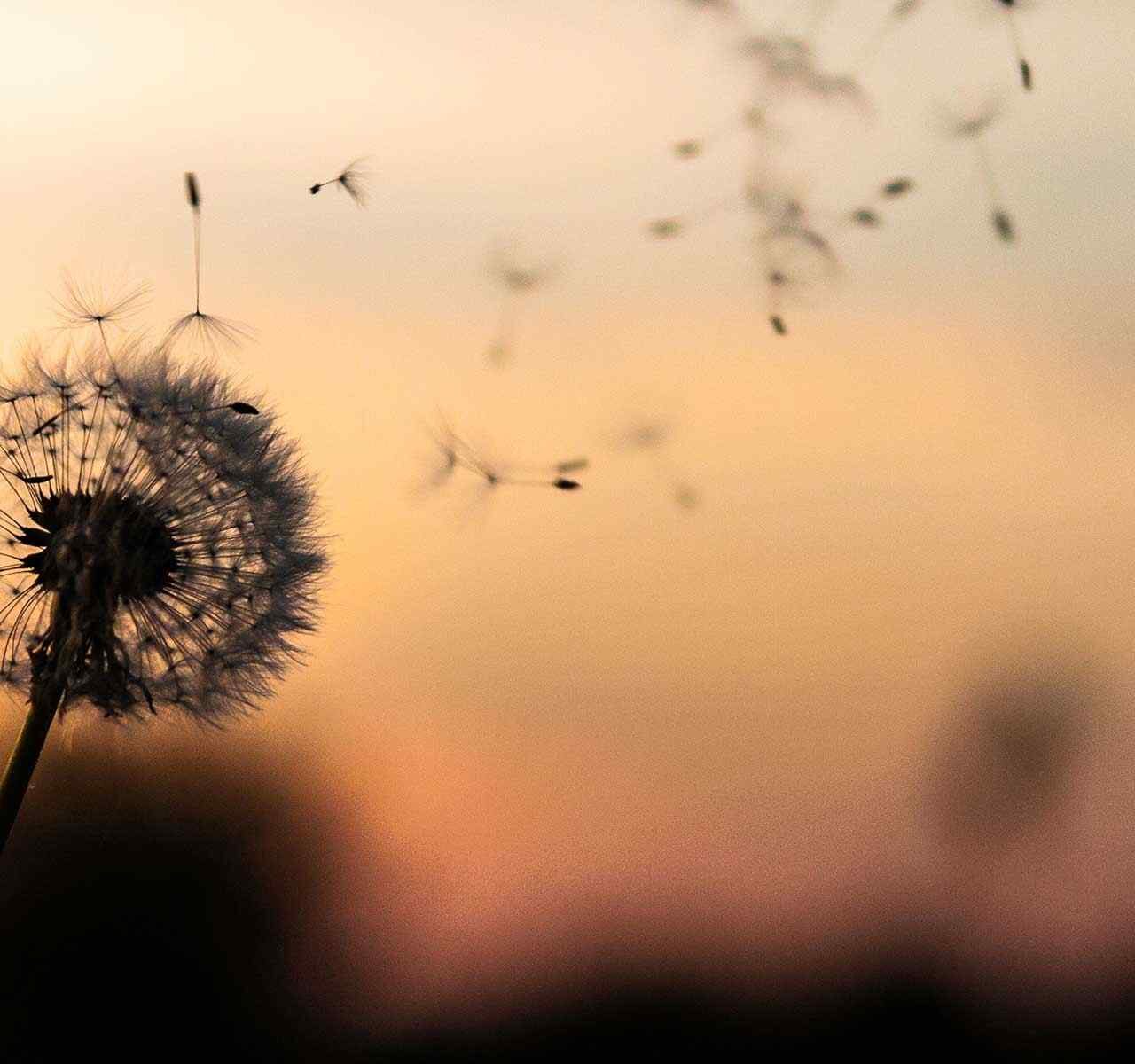 https://allimierinvestments.com/wp-content/uploads/2018/09/post_02-1280x1200.jpg