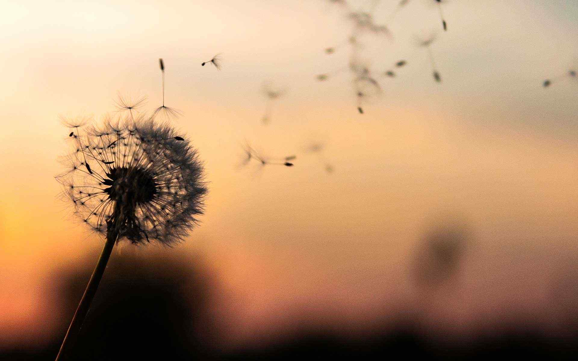 https://allimierinvestments.com/wp-content/uploads/2018/09/post_02.jpg